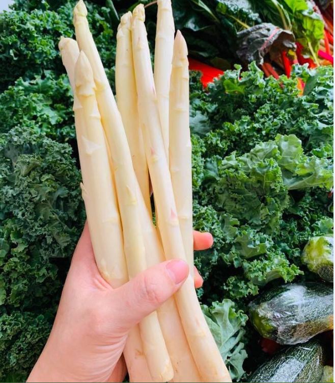 "Gói 20 "Hạt giống măng tây trắng [Seeds]
