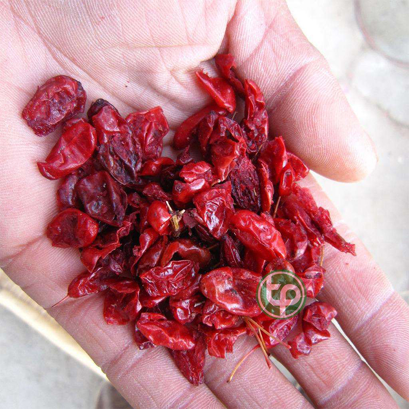 Sơn thù du khô 500g - Hàng sạch xanh chất lượng cao - Thảo Dược Tấn Phát