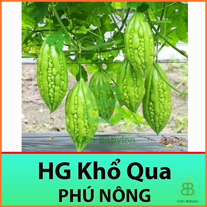 Hạt Giống Khổ Qua - Mướp Đắng Cao Sản 2Gr