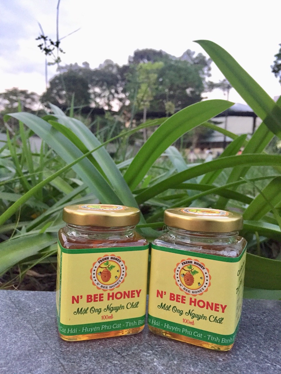 Mật ong nguyên chất Núi Bà - chai 350ml