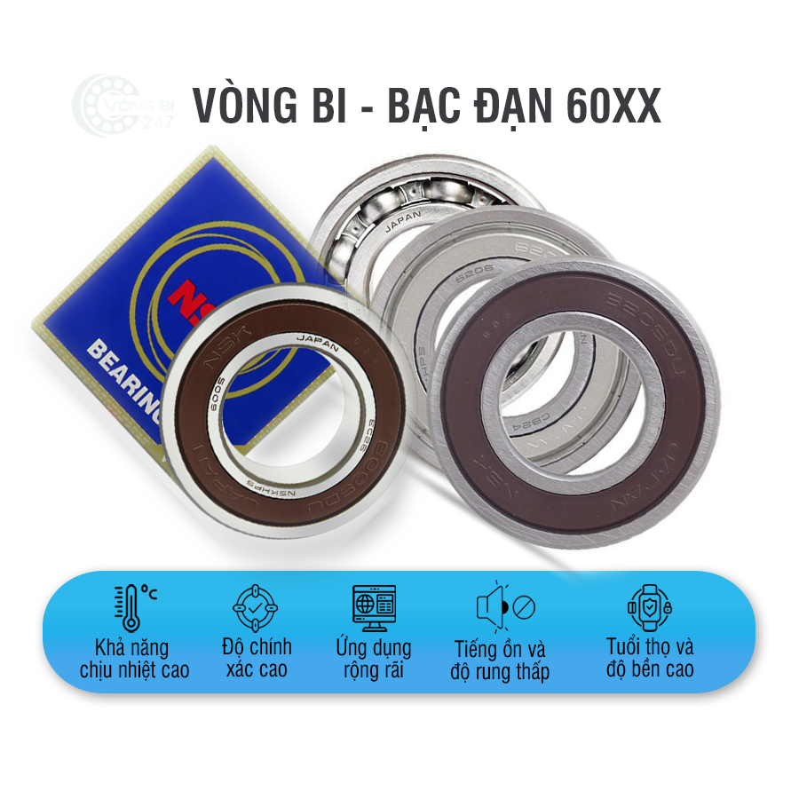 Vòng bi NSK 6004 DDU