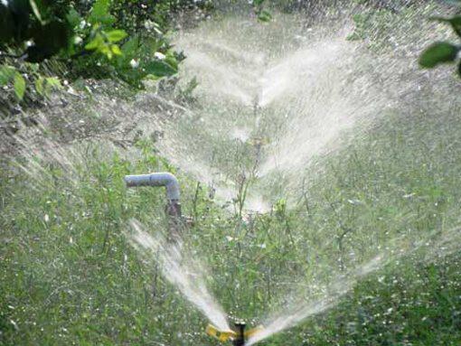 Béc phun mưa cánh đập nhỏ RS5022 chân 21