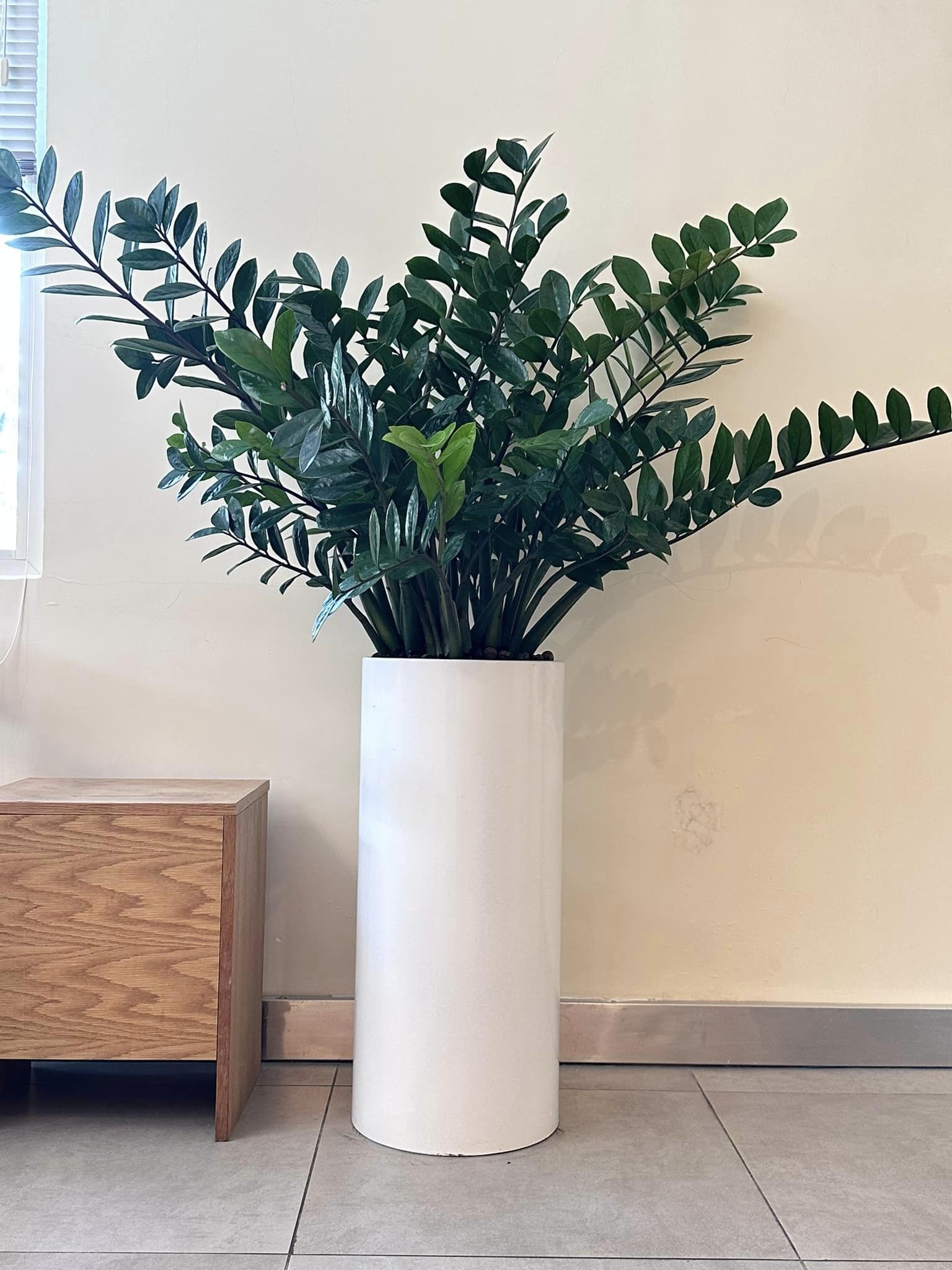 Chậu composite trụ tròn 30x70 HomeViet