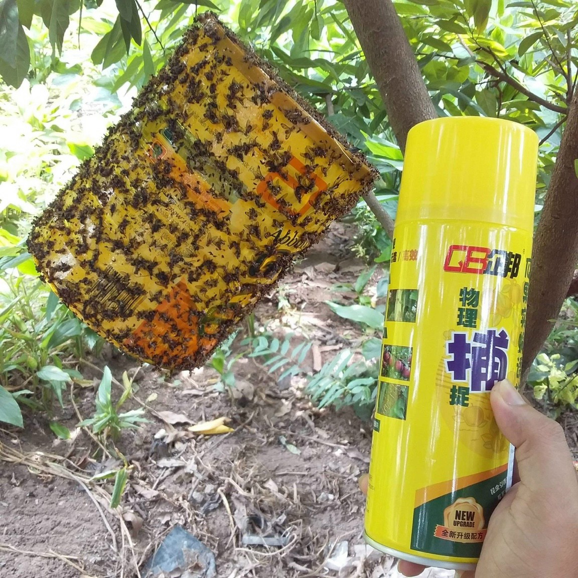 Keo xịt ruồi vàng, côn trùng