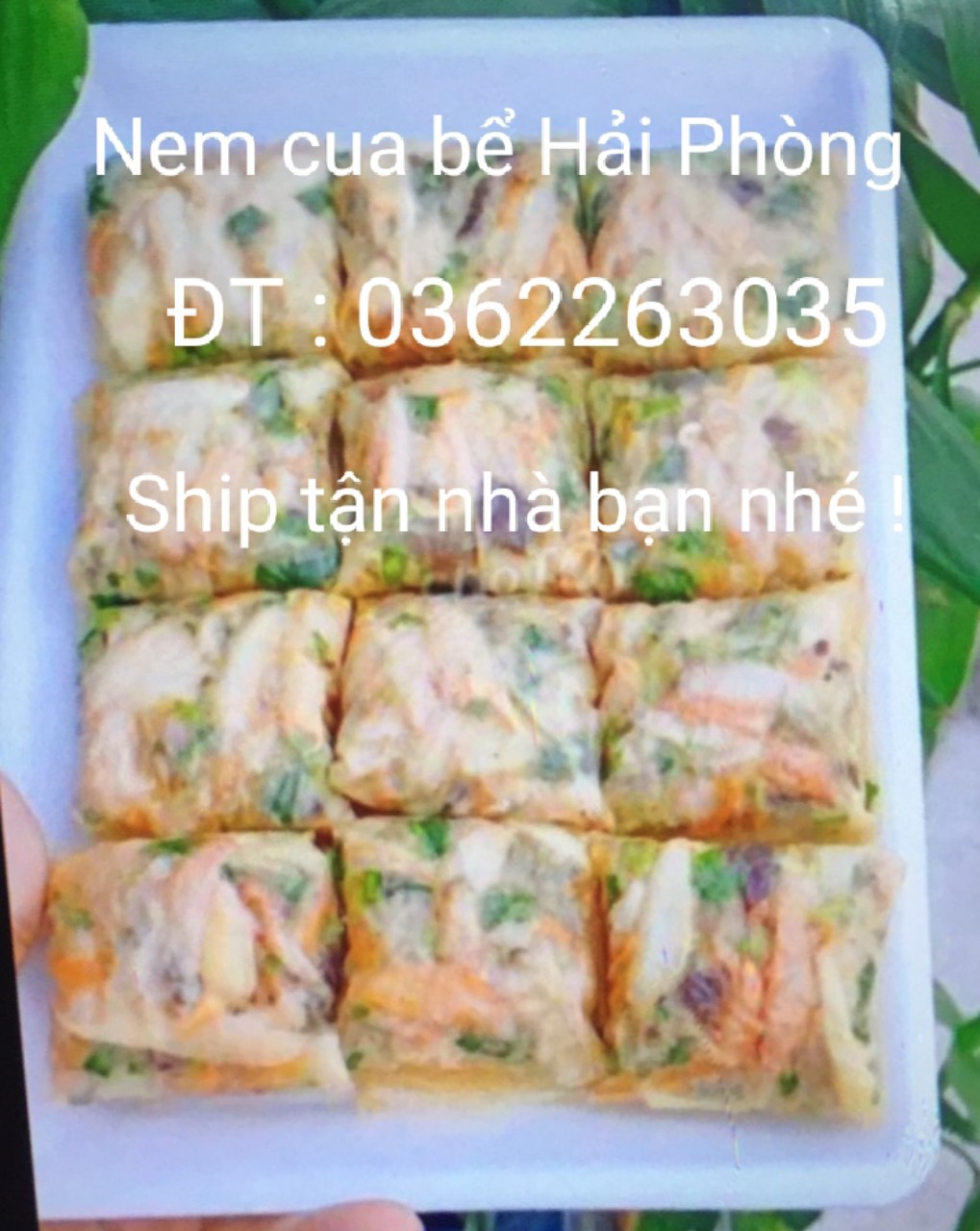 Nem cua bể Hải phòng