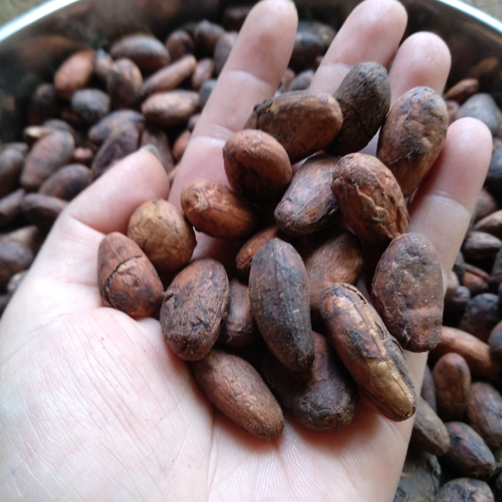 500 gr Bột cacao thơm ngon Nam Trường Sơn