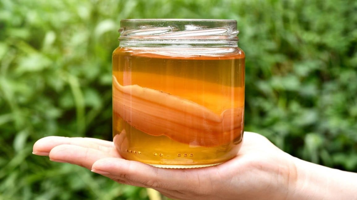Trà Kombucha- Happy House