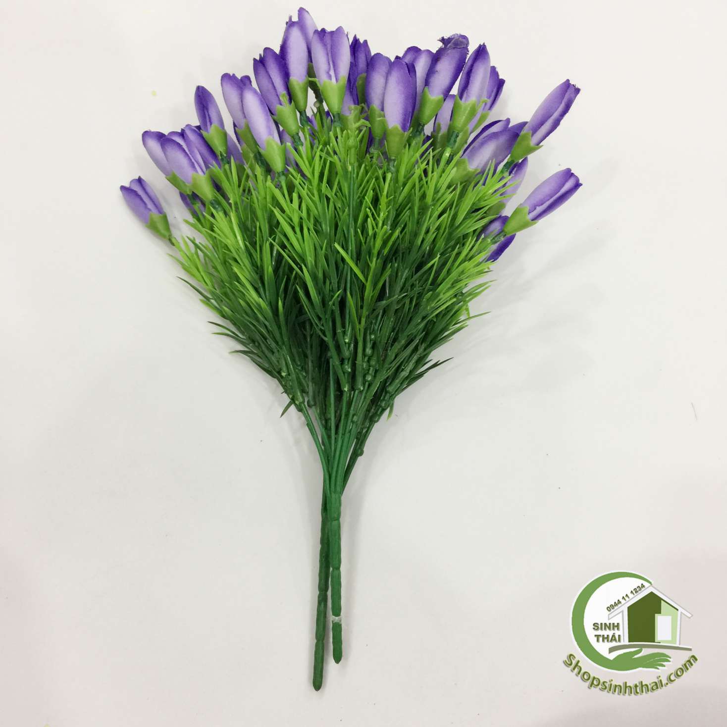 [HCM]Bụi Hoa Tulip Nhí Màu Tím
