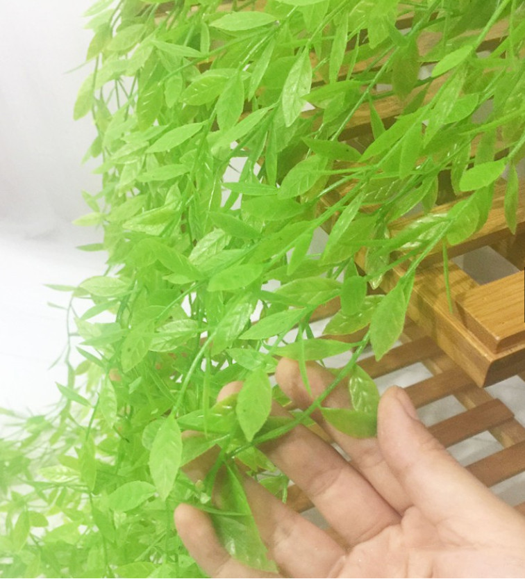 Cành lá giả - Cành lá cúc tần non trang trí
