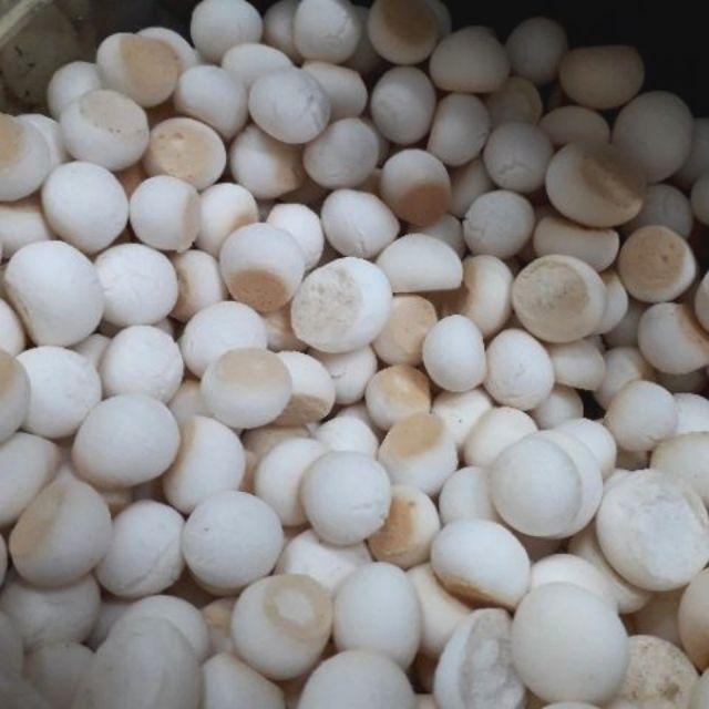BÁNH MEN SỮA NƯỚC CỐT DỪA 500G
