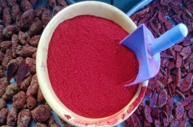 Bột nghệ đỏ (túi 500g) nguyên chất 100% cho gà đá.