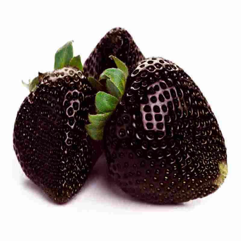 Black strawberry seeds - High Quality Seeds