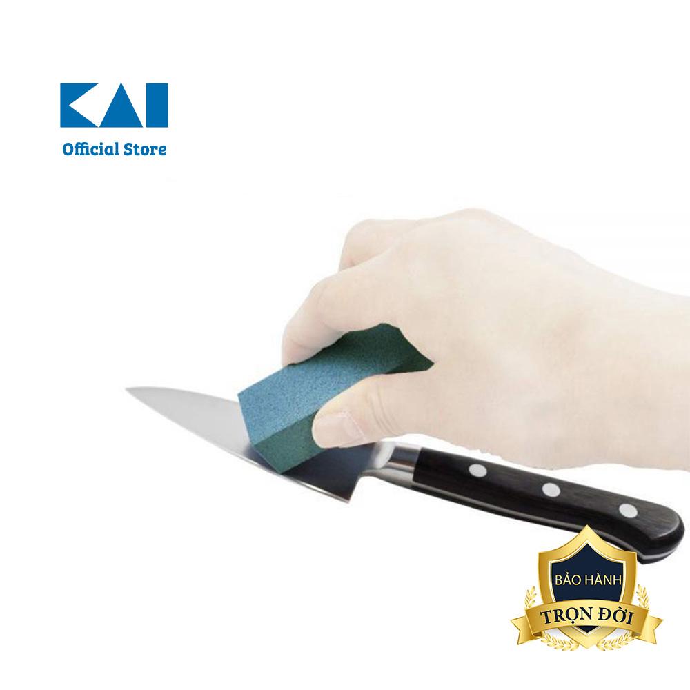 Dụng cụ đánh gỉ cao cấp Nhật KAI DH5267