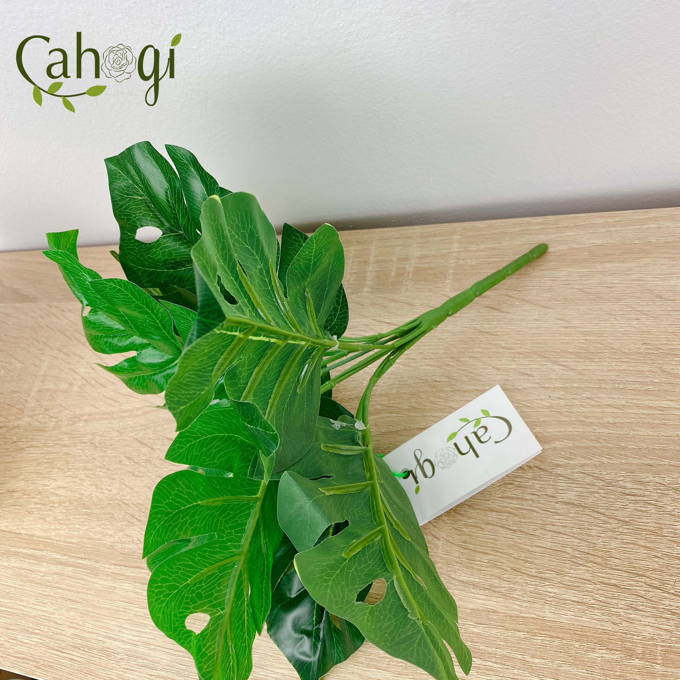 Cây Giả Cây Lá Rùa 30cm