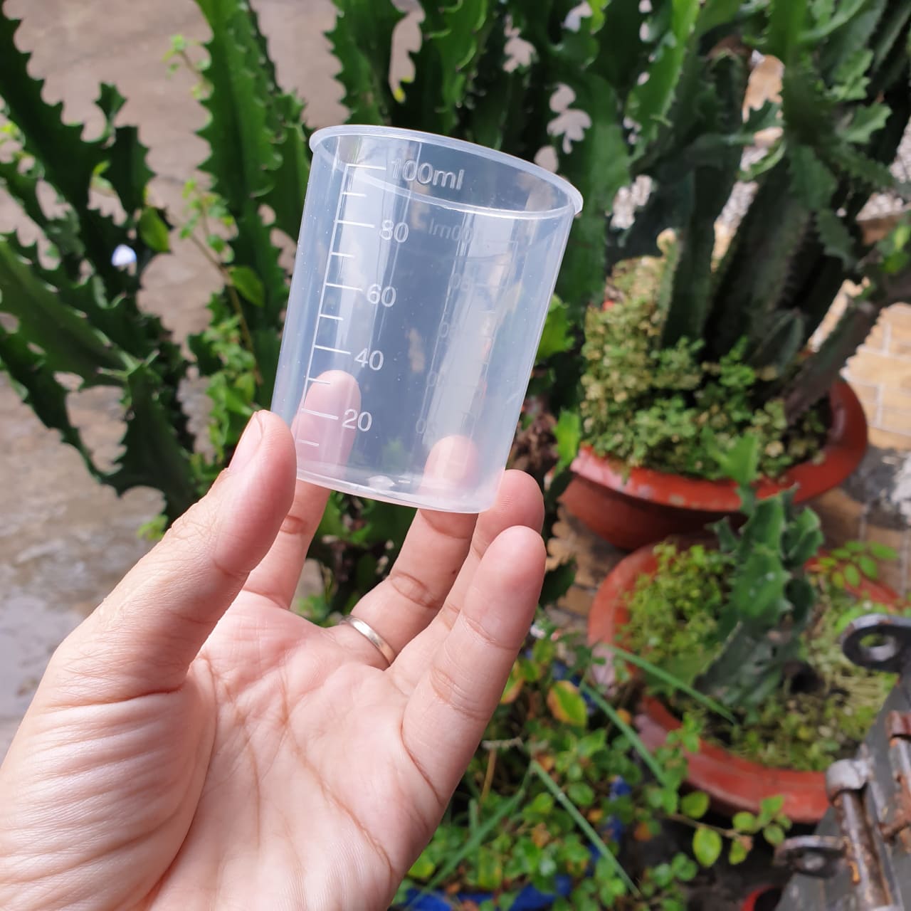 Ly đong 30ml / 100ml / cốc đong định lượng