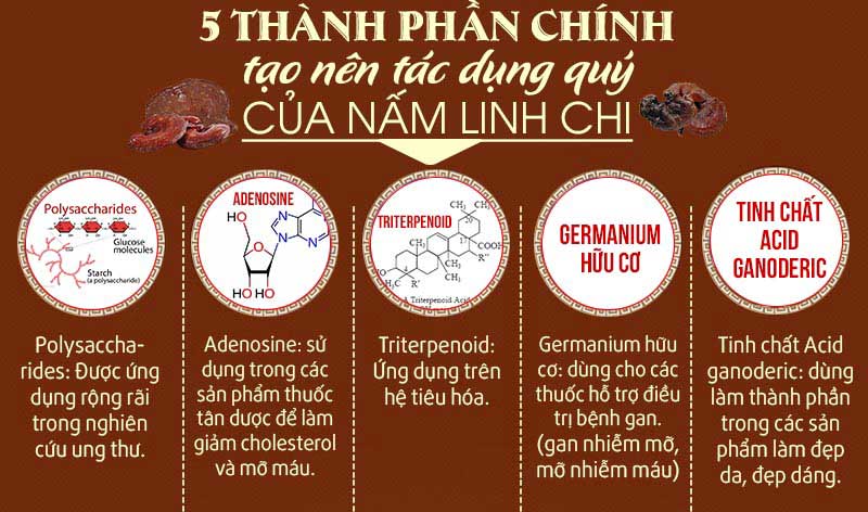 Nấm linh chi - Hộp 1kg