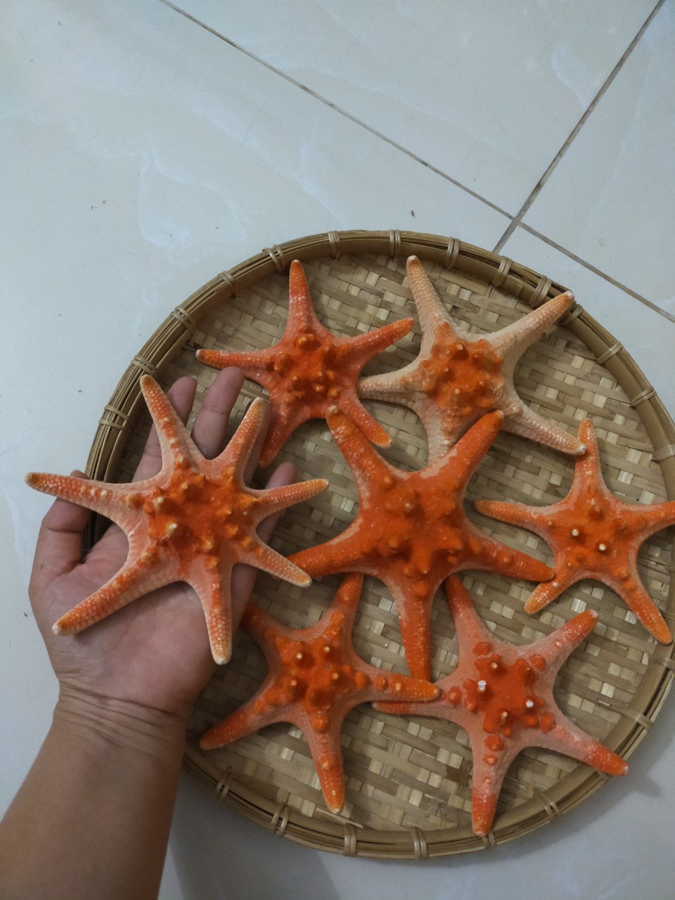 sao bien kho 5 c o n 100k