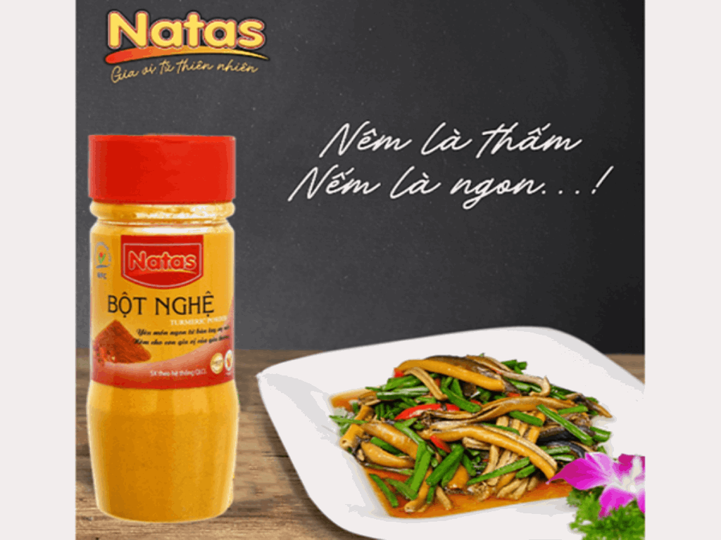 GIA VỊ BỘT GỪNG NATAS 40GR E