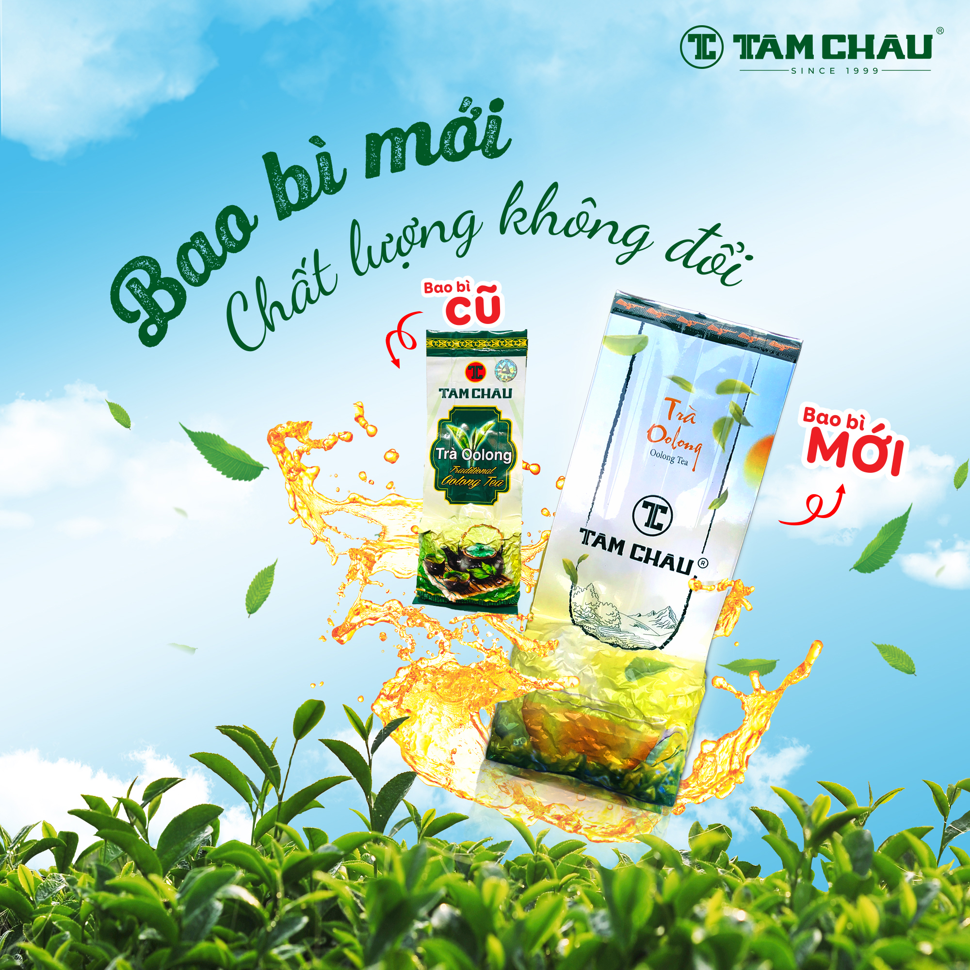 [TÂM CHÂU] Trà Oolong Cao Cấp Gói Nhôm 100Gr