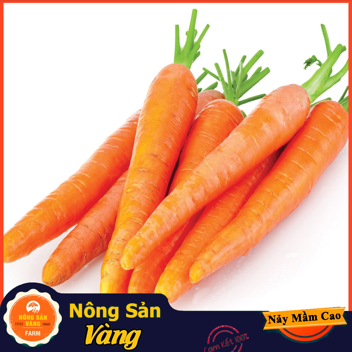 Hạt giống Cà Rốt Thường F1 ( Gói 3 Gram ) - Nông Sản Vàng