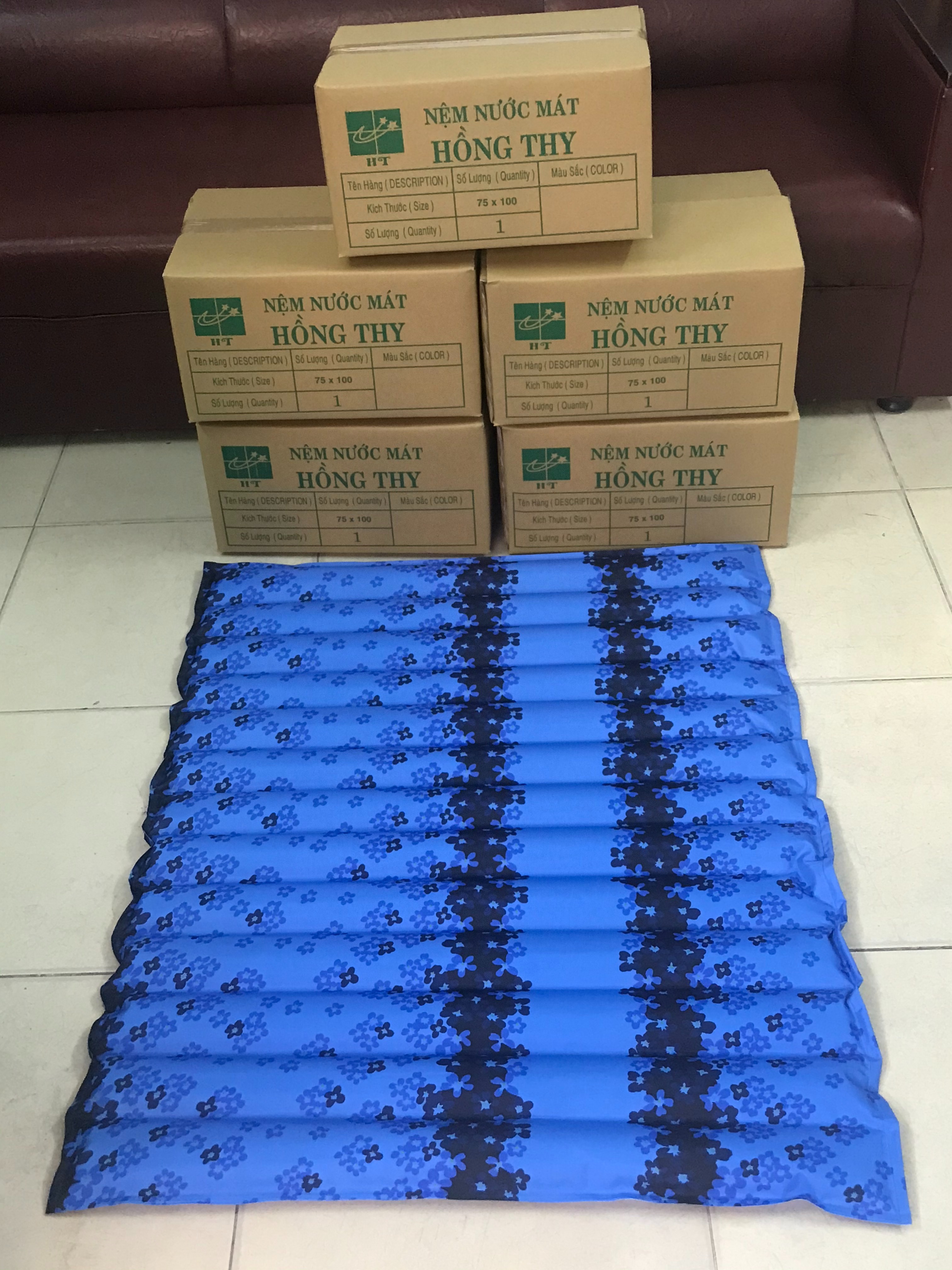 [HCM]Nệm nước mát HỒNG THY loại nằm size M (75 x 100)