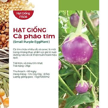 Hạt cà pháo tím cao sản gói 1 gram