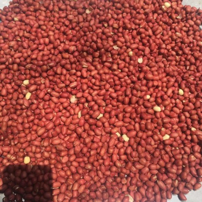 Sỉ toàn quốc 1kg lạc đỏ