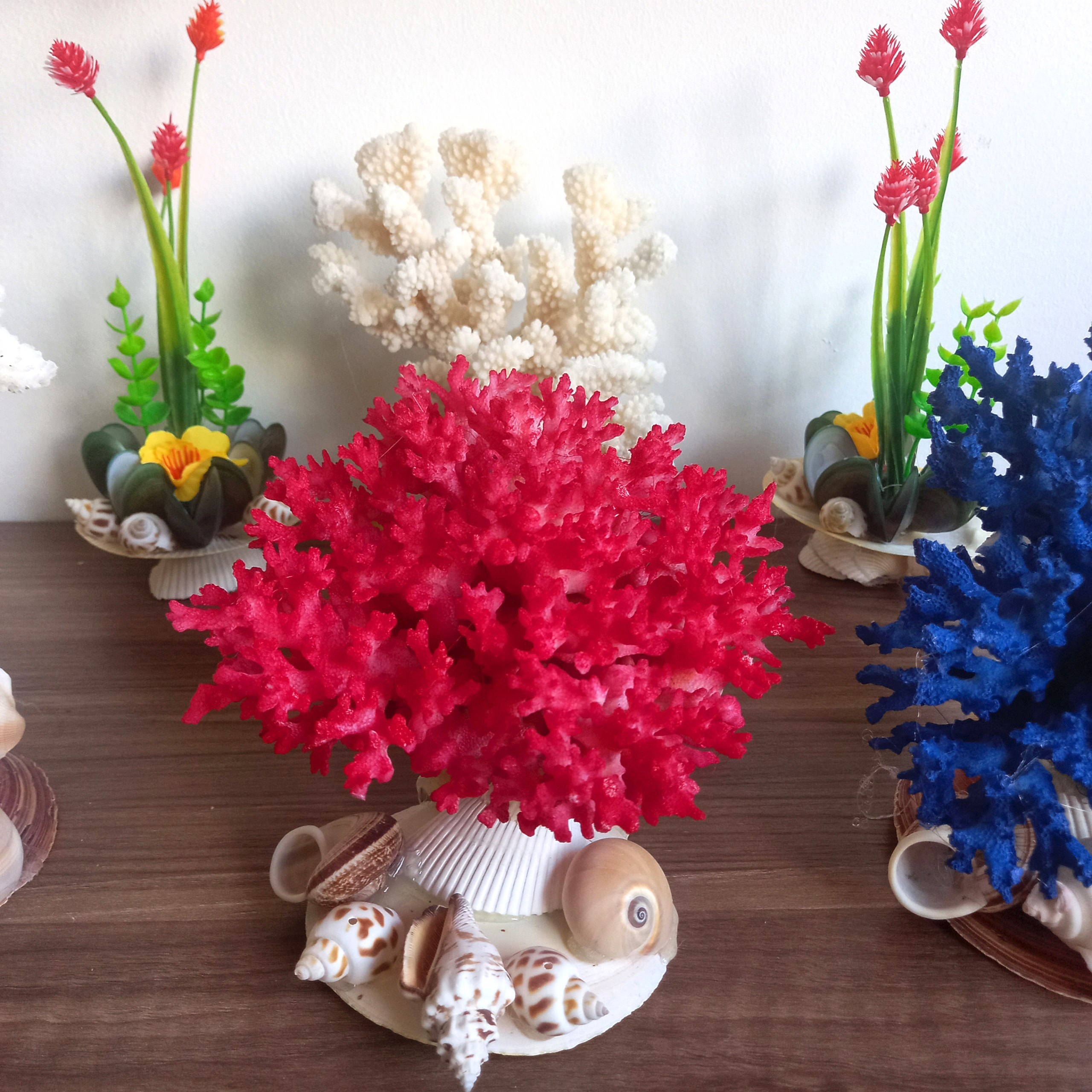 San hô trang trí bể cá, tiểu cảnh size mini