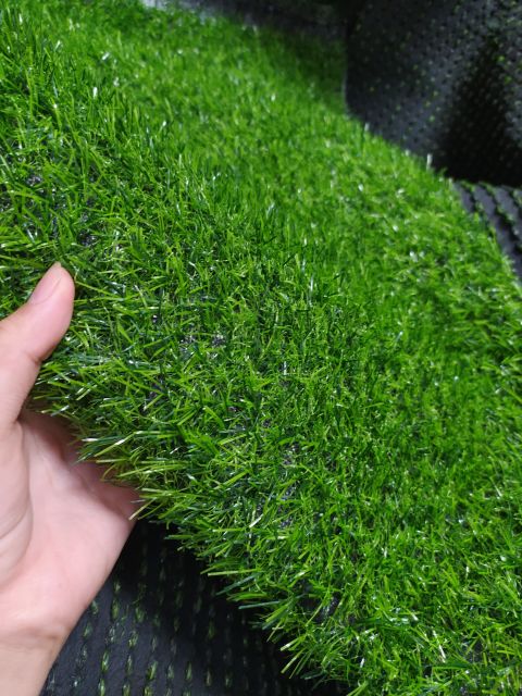 Thảm Cỏ Nhân Tạo Hàng chuẩn 2cm