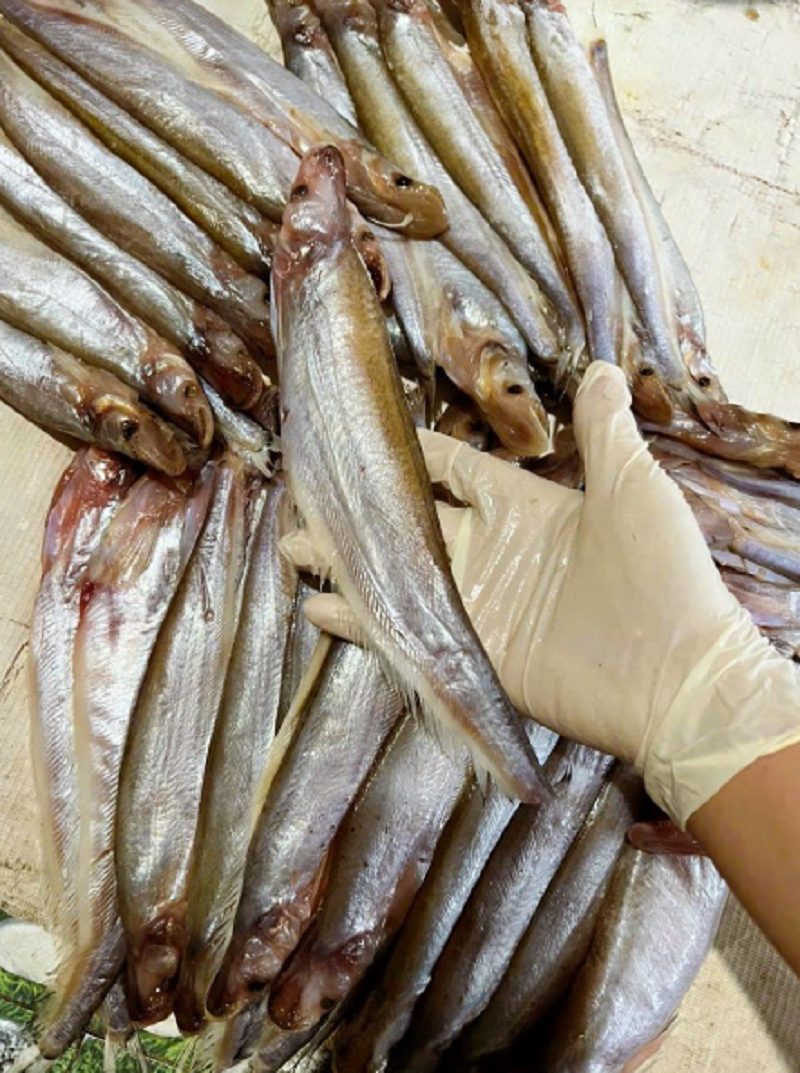 KHÔ CÁ TRÈN( KHÔ CÁ KẾT) THƠM BÉO- TÚ VY FOOD