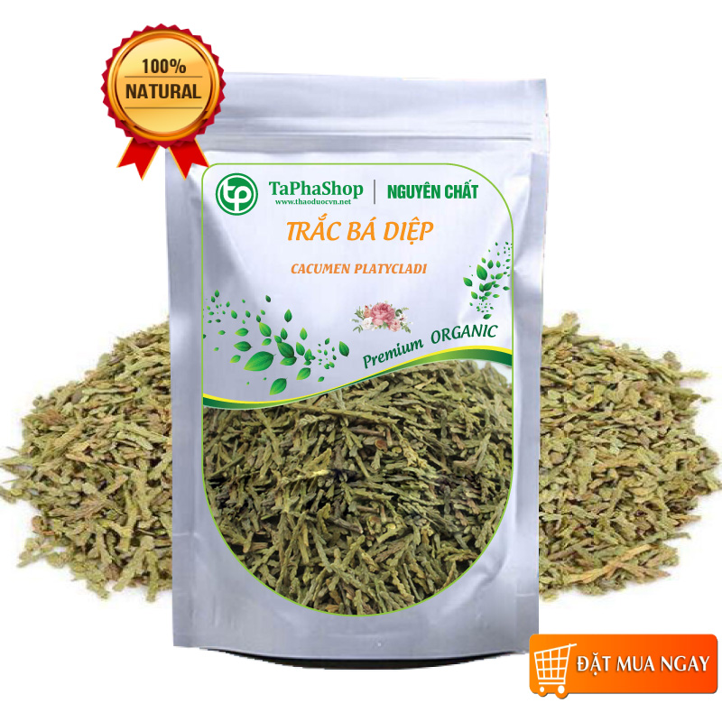 Trắc bá diệp khô 500g , Trà trắc bá diệp - tấn phát
