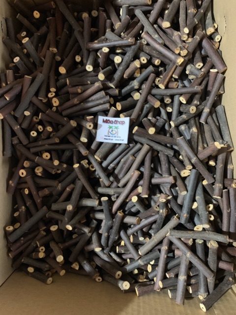 cành táo mài răng - 25g