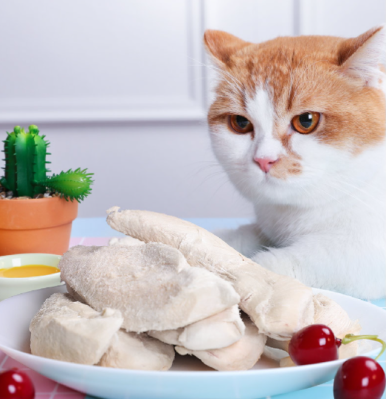 Ức gà sấy cho mèo | Ức gà khô thức ăn dinh dưỡng cho mèo gói 500g