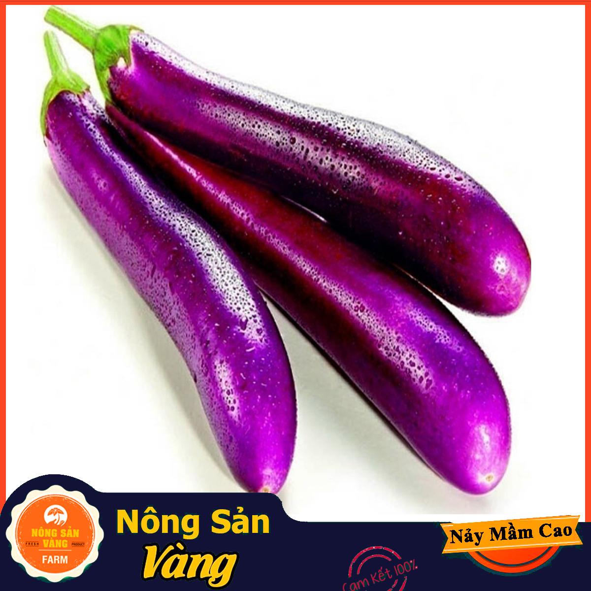 Hạt giống Cà Tim Quả Dài ( Gói 1 Gram ) - Nông Sản Vàng
