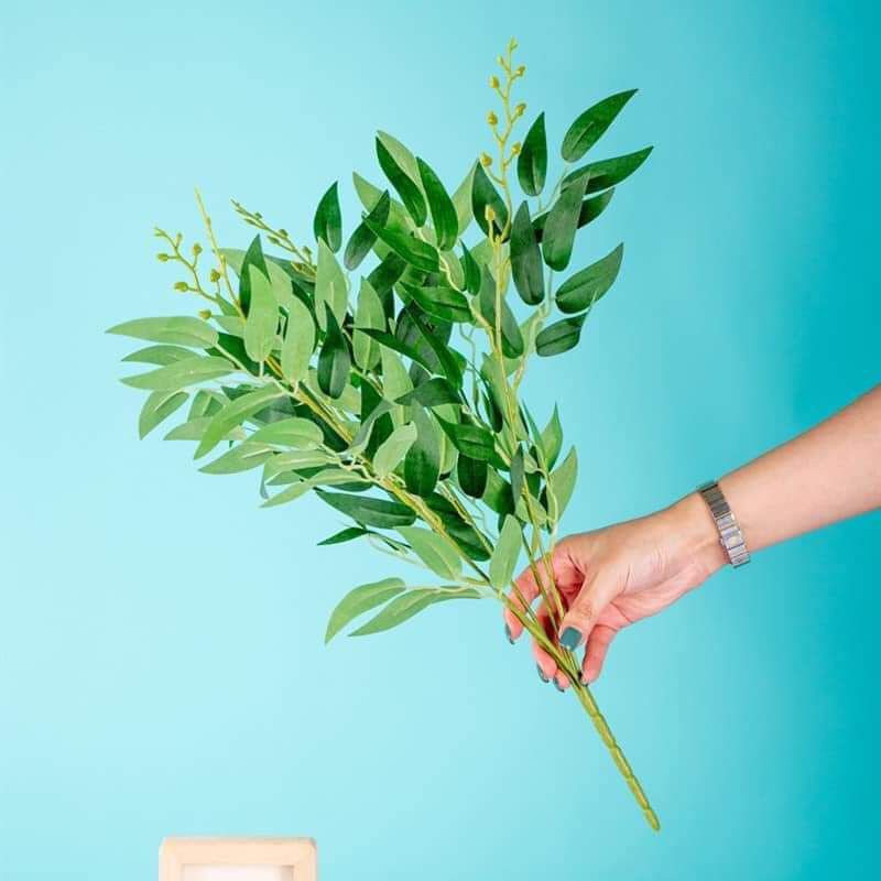 Chùm cây lá bạch đàn đủ màu - Cây lá giả