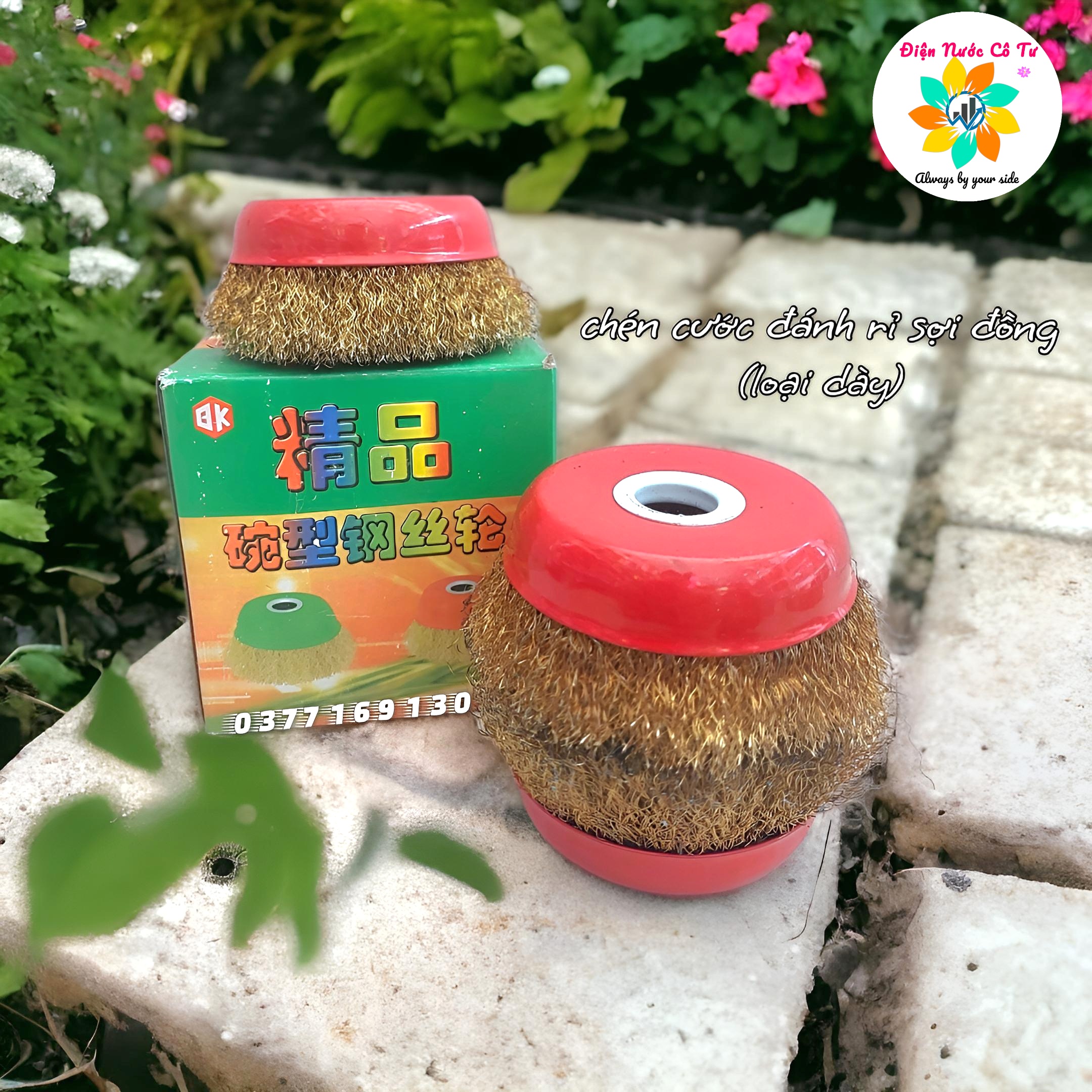 (1 hộp 2 cái) Chén cước đánh rỉ sợi đồng nắp đỏ
