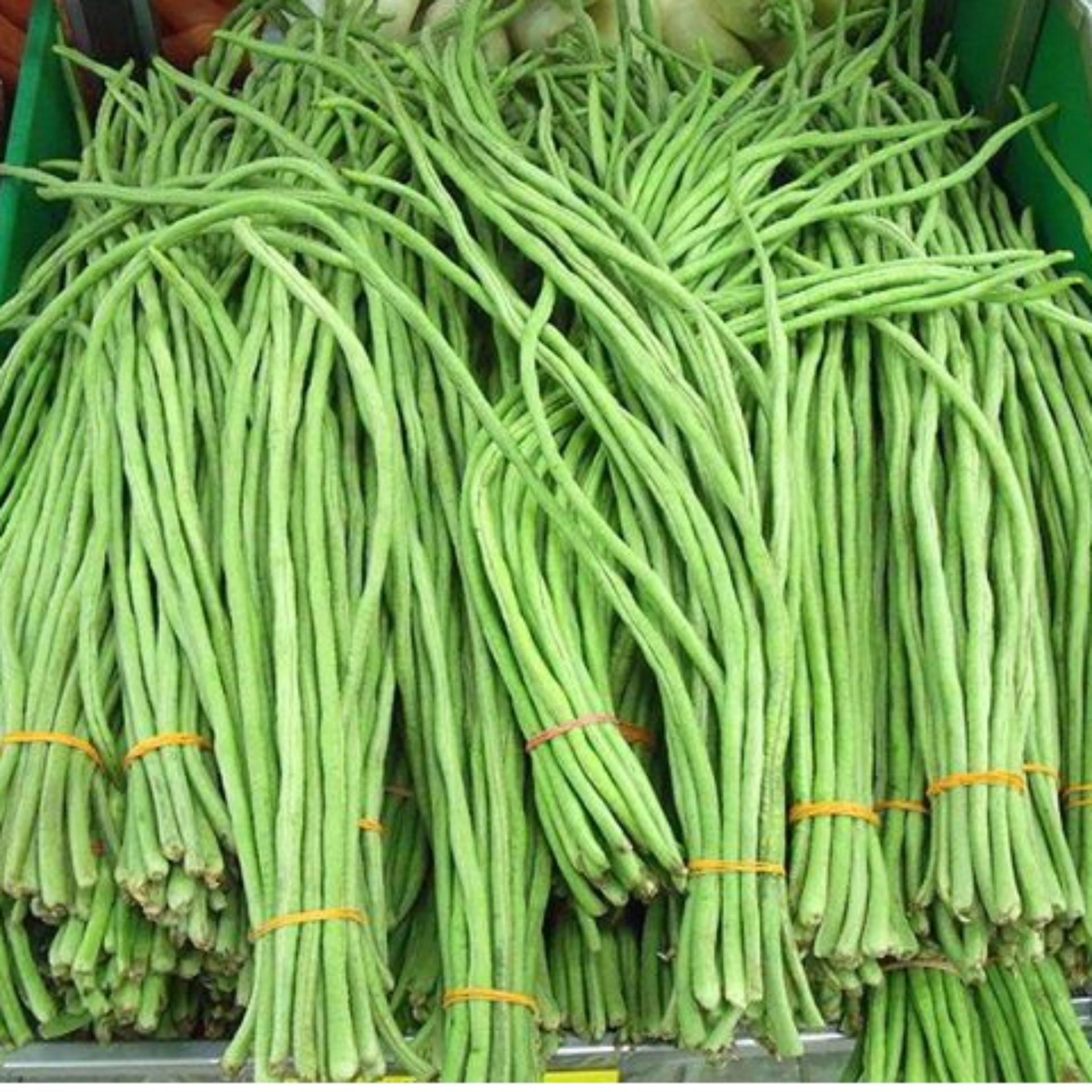 20g Hạt giống Đậu đũa (tặng Kích nẩy mầm, Hướng dẫn ươm)