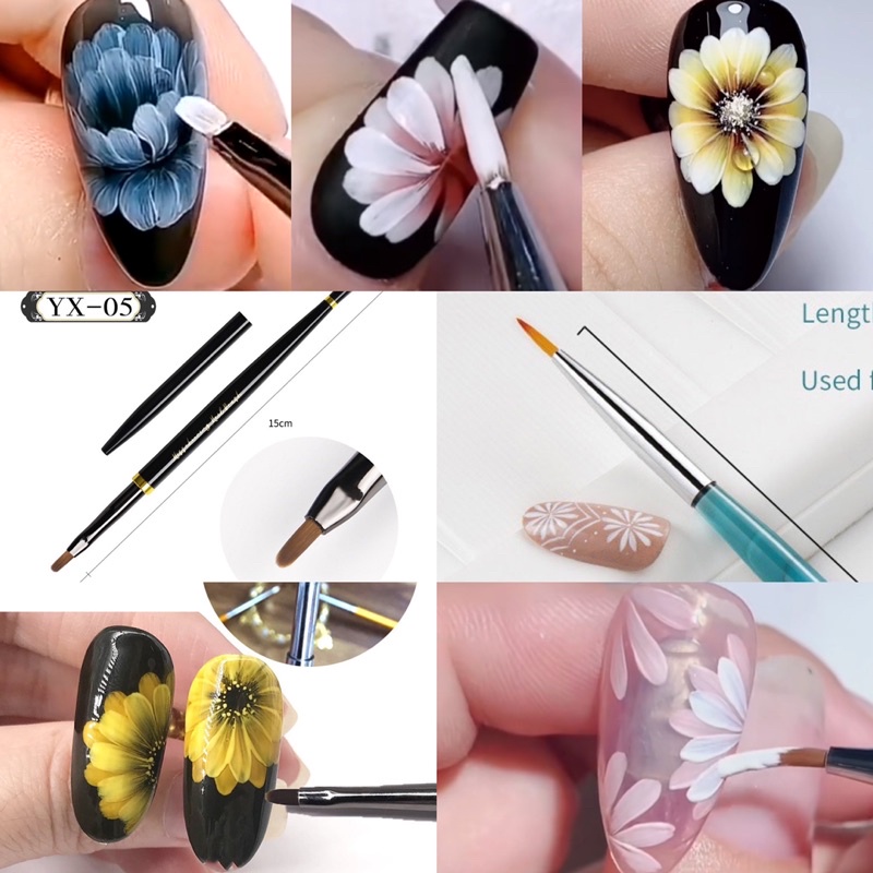 Cọ vẽ hoa cúc chuẩn xịn