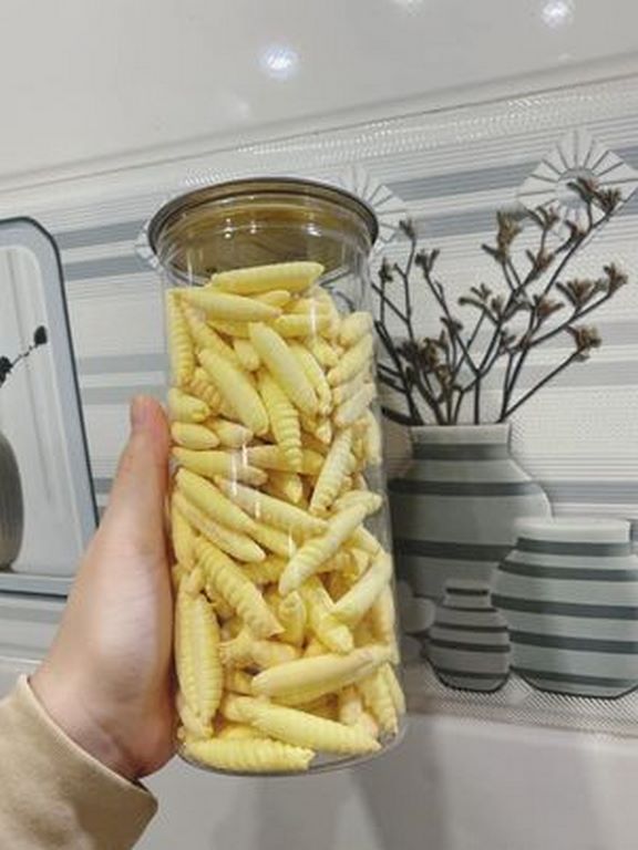Bánh sùng sầu riêng lon pet 300g