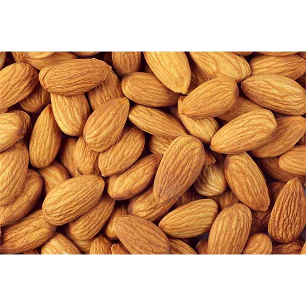 [Có sẵn] [Siêu Sale] Hạnh nhân rang mộc túi Zip 500G