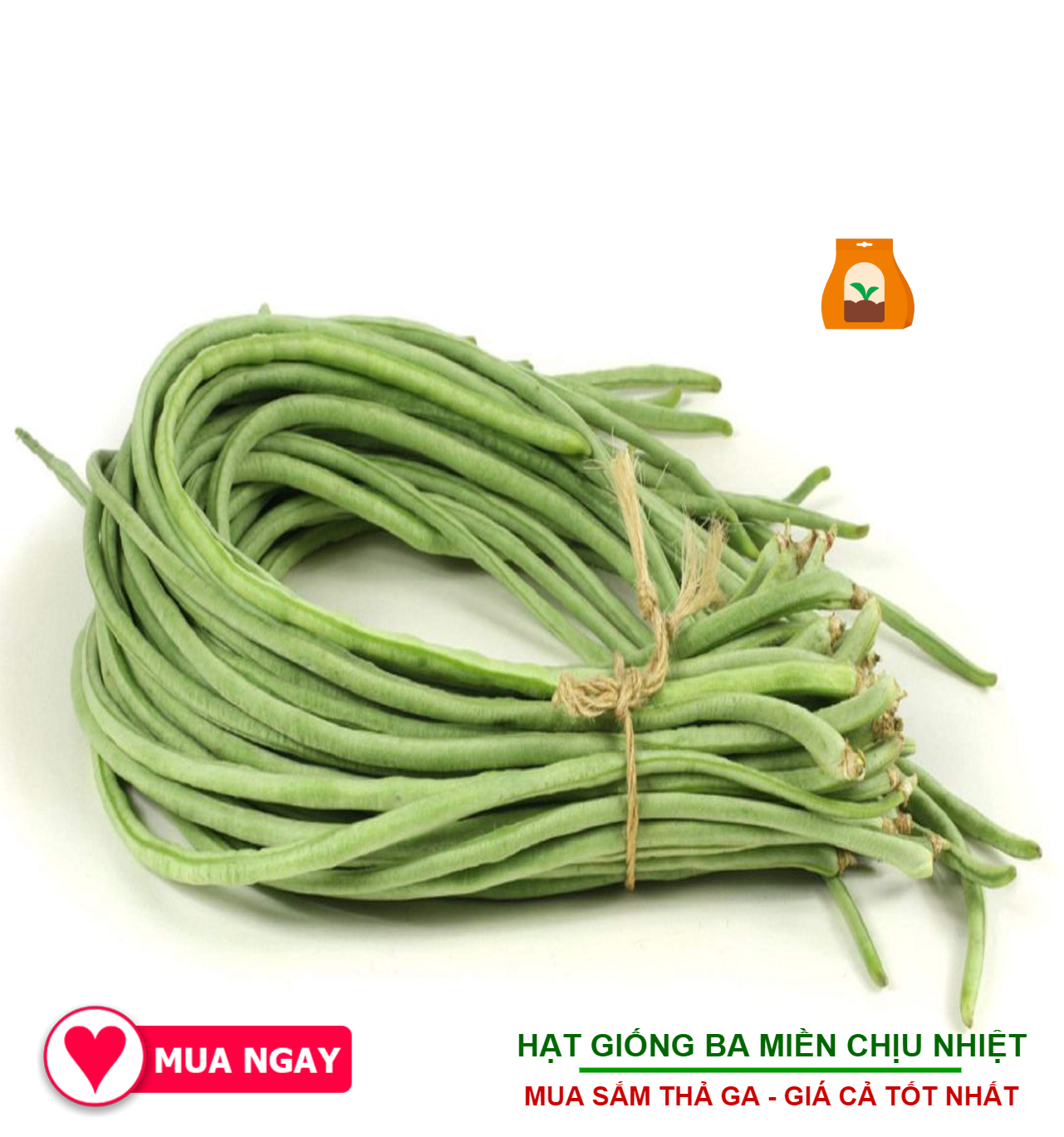 Hạt Giống Đậu Đũa Hạt Đen Phú Nông Chịu Nhiệt Cực Tốt 10gram