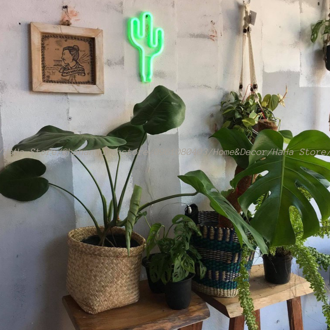 Thúng Cói Trồng Cây Giỏ Cói Decor GCD02-1