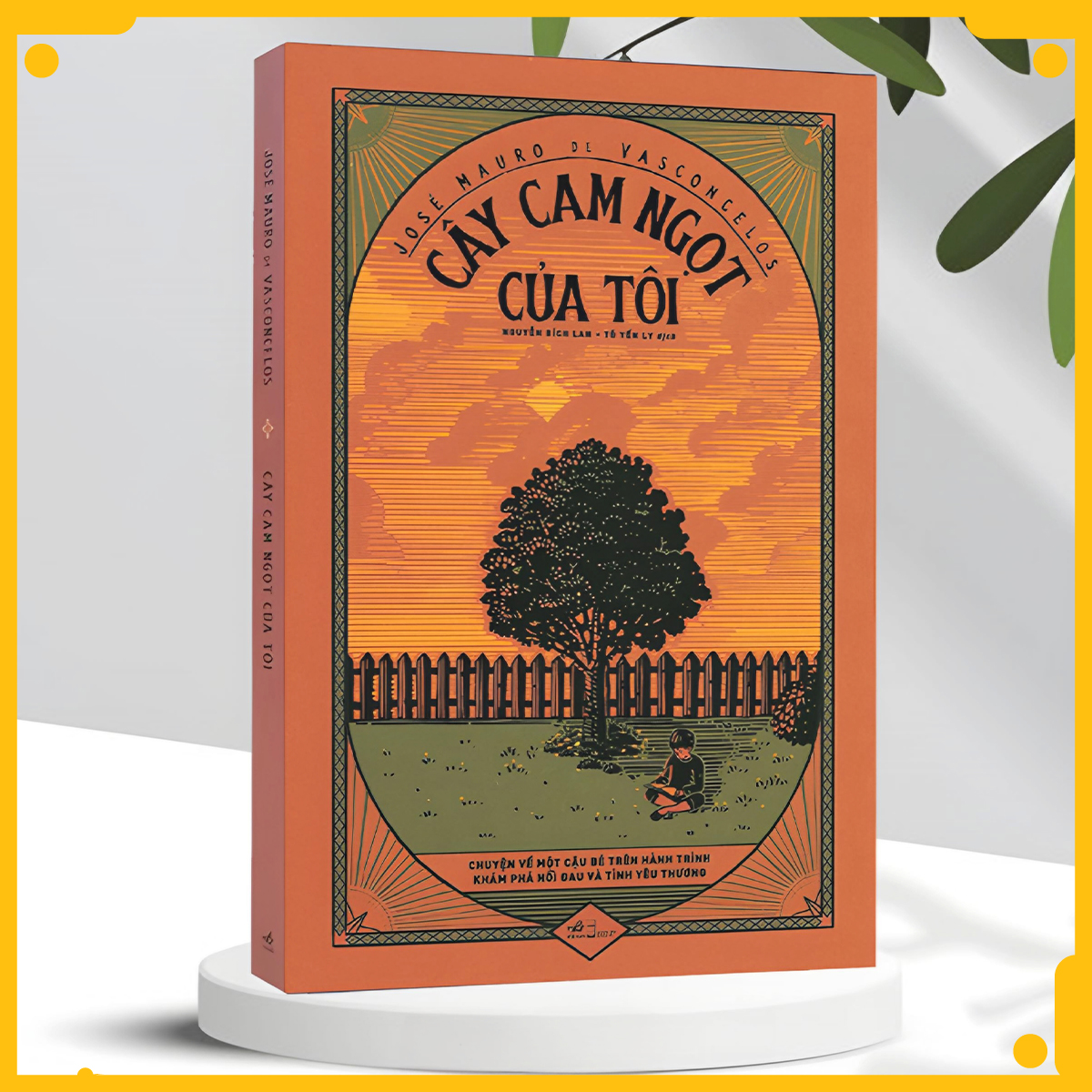 Cây Cam Ngọt Của Tôi
