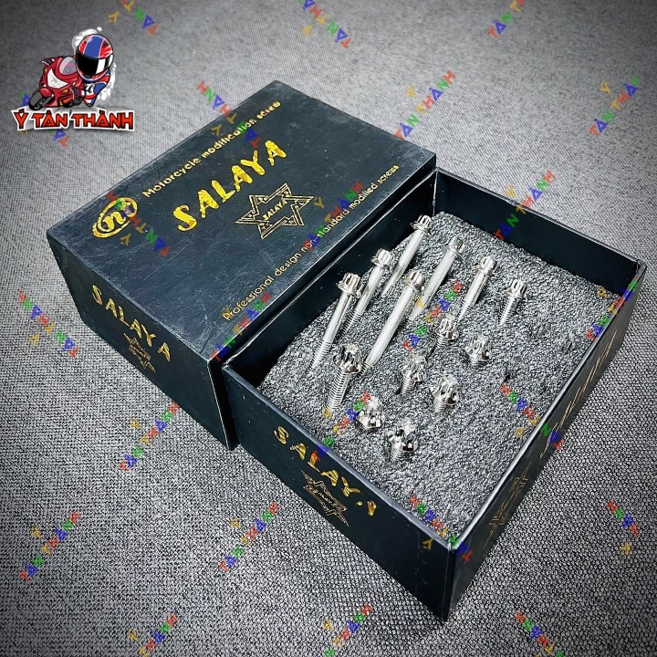 Bộ Ốc Lốc Máy Salaya Vision 2017 14 Con