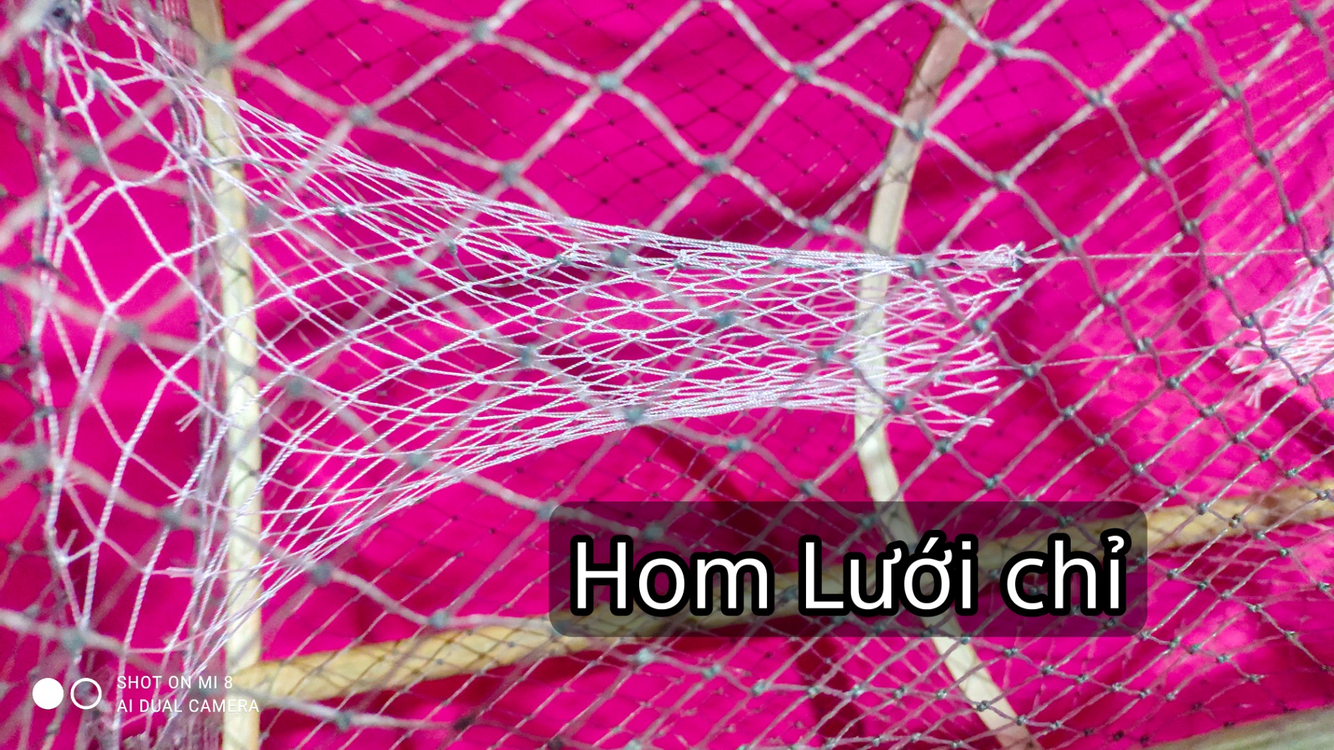 Bẫy cá lóc, lờ cá lóc, cá trê không dùng mồi