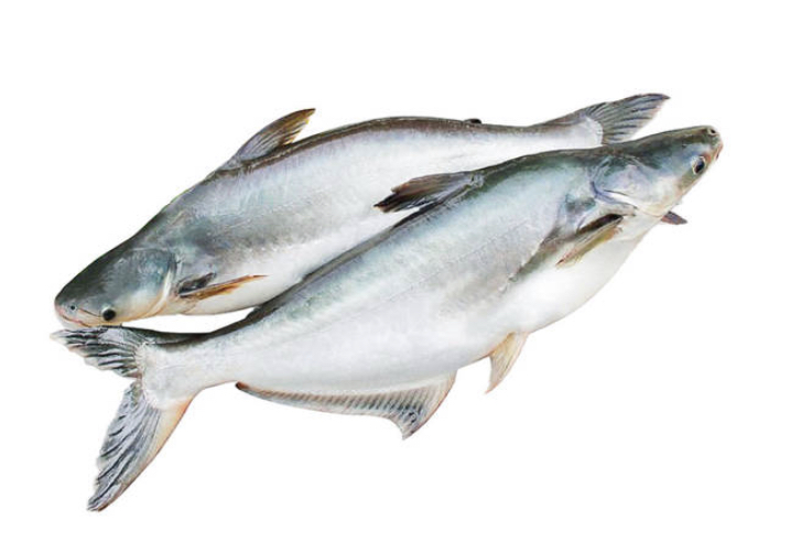 Cá basa - khoanh 500gr
