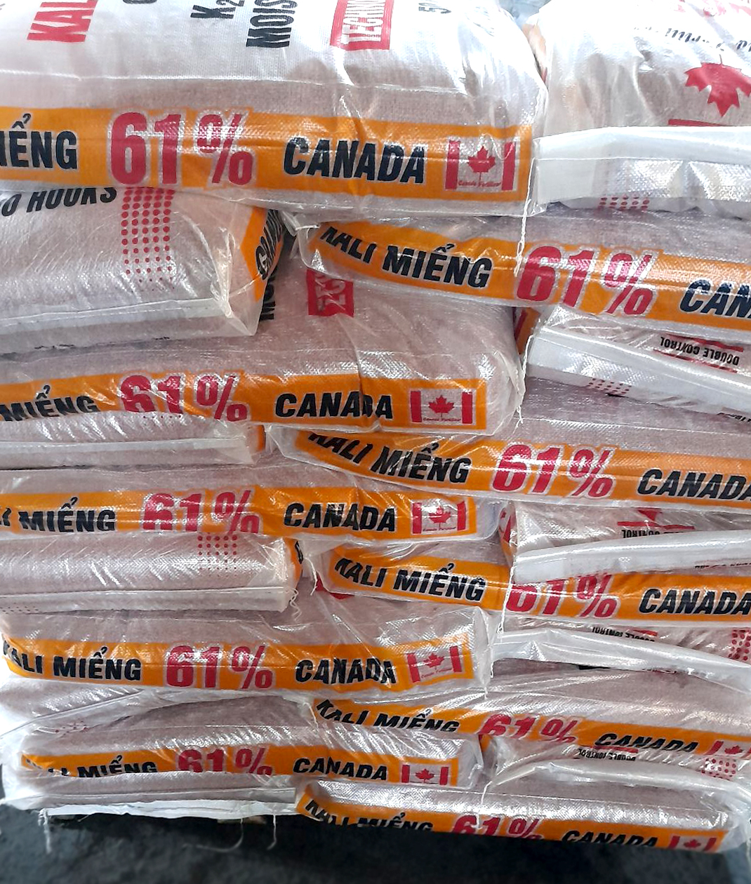 Phân Bón Kali miểng 61% Canada (1kg)
