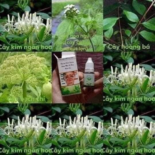 Viêm Xoang mũi Trần Kim Huyền