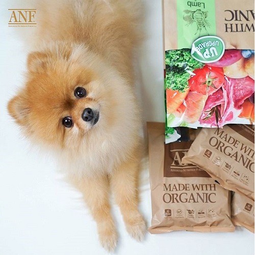 [HCM]THỨC ĂN HẠT CHO CHÓ ANF 6 FREE 2KG CỪU