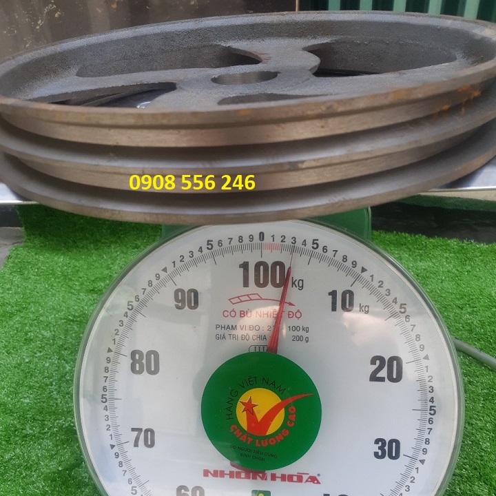 Puly 30 phân cốt 40mm hai rãnh b